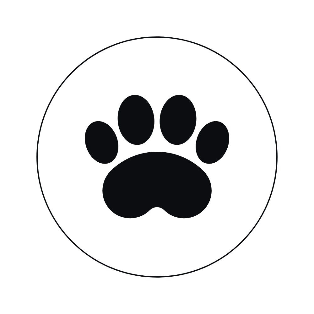 Pet Spa Icon